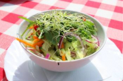 Vitamin salad