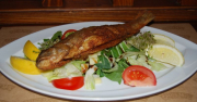 Baked trout served with mozzarella and fresh salad