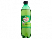 Canada Dry 0.5 l