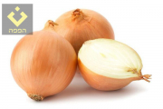 Onion half