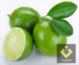 Lime / Lemon, pcs