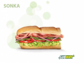 Turkey & Ham sub