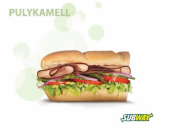 Turkey sub