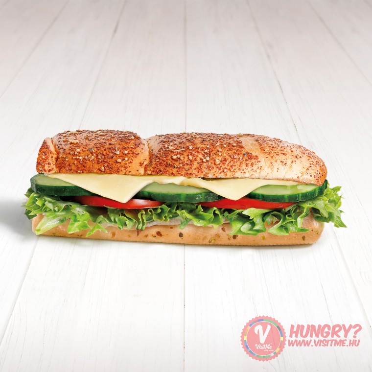 Subway 🚀 VisitMe™