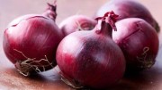 Purple onion 0,5kg
