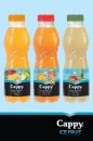 Cappy Ice Fruit