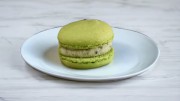 Pistachio macaron