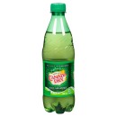Canada dry Ginger Ale 500ml