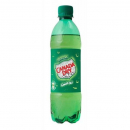 Canada dry 0,5 L